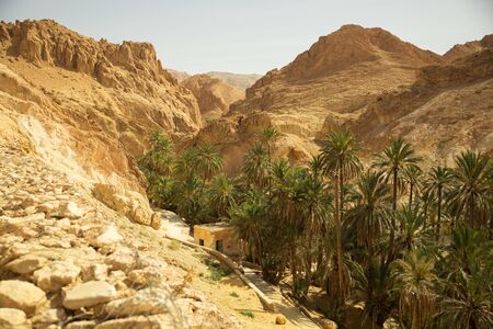Mountain path in Sahara desert Tunisia with palmの写真素材