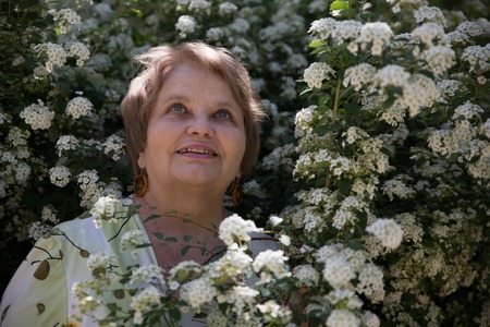 Senior woman under Spiraea shrub in a gardenの写真素材
