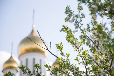 Branch of apple tree and Ortodox Church on background