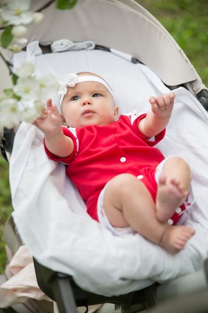 Newborn baby girl under tree. Selective soft focus and boke on backgroundの写真素材