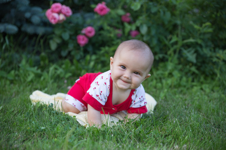 Baby girl crawling on the grass. Selective focus on her eyes.の写真素材
