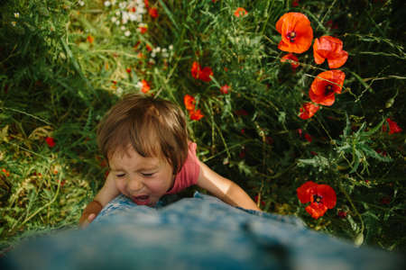 Child cry in red poppy flowers. Selective focus on baby faceの写真素材