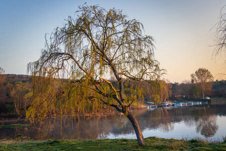 Landscape with lake and tree at nature sunriseの写真素材