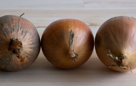 Onionsの写真素材