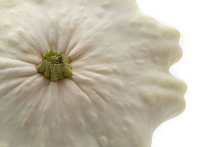 fresh squash complex forms on a white backgroundの写真素材
