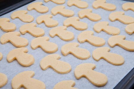  baking cookies at homeの写真素材