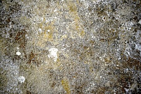 Concrete Textureの写真素材