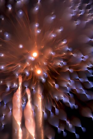 Fireworksの写真素材