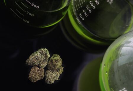 Cannabisの写真素材