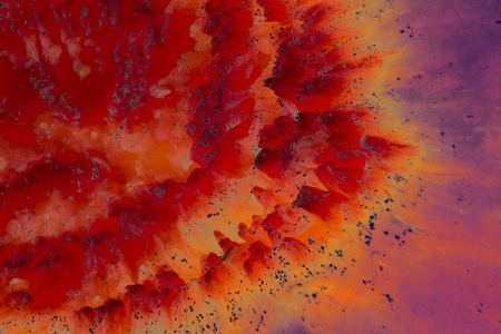 Abstract Peachの写真素材