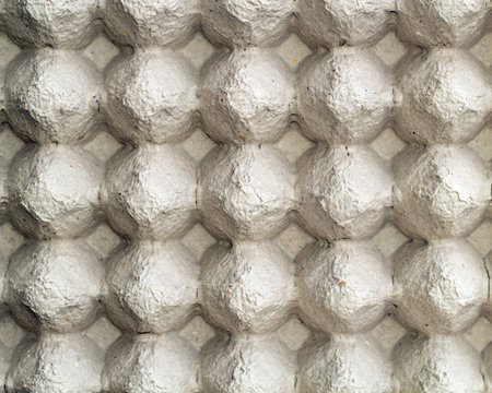 Egg tray  Paper egg tray 