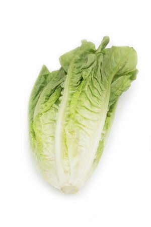 Lettuce salad on white backgroundの写真素材