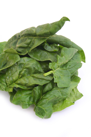 bunch of fresh spinach leaves isolated on white backgroundの写真素材