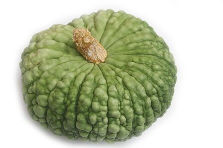 Italian green pumpkin called Marina di Chioggia isolated on white background. Cucurbita maximaの写真素材