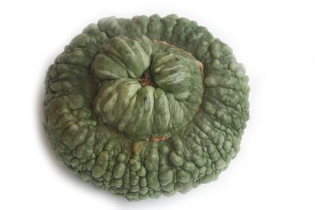 Italian green pumpkin called Marina di Chioggia isolated on white background. Cucurbita maximaの写真素材