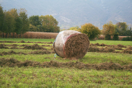 Hay bale on harvested meadow in northern Italy. Agricultural field on autumn