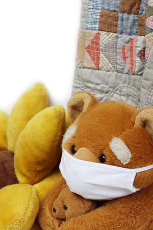 Black larva of Ladybug on a green potato plant in the vegetable garden on a sunny dayの写真素材