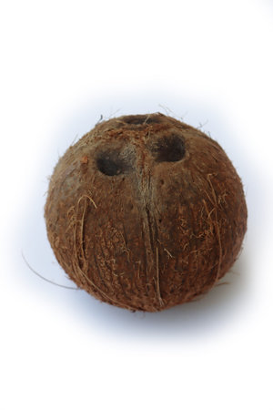 Whole coconut isolated on white background. Fruit of cocos nucifera