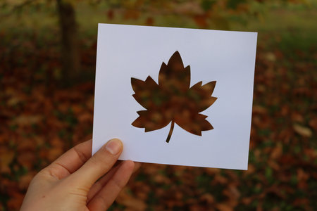 Cut white paper in shape of leaf against yellow and brown leaves on autumn on a sunny day hold by...