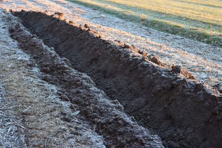 Plowed field on winter. Soil row with frost on in the field. Agricultural landscape