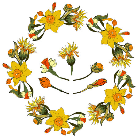 Vector illustration of a round floral frame made of daffodilsのイラスト素材
