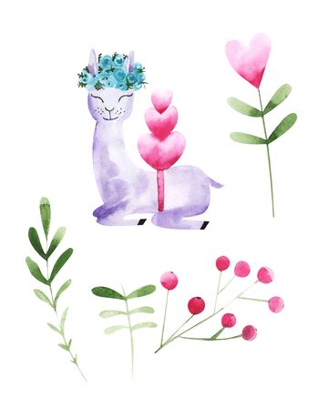 Illustration of drawing colored watercolor animal alpaca among flowers and plants on an isolated background.の写真素材