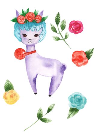 Illustration of drawing colored watercolor animal alpaca among flowers and plants on an isolated background.の写真素材