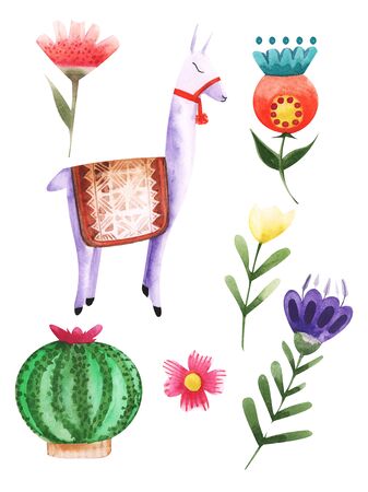 Illustration of drawing colored watercolor animal alpaca among flowers and plants on an isolated background.の写真素材