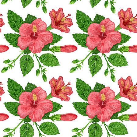 illustration of a seamless pattern of hibiscus plants flowers and leaves of a plant on a backgroundの写真素材