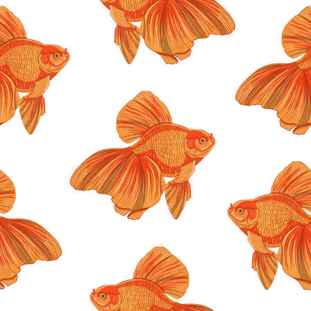 Digital illustration of orange detailed aquarium goldfish seamless pattern on white isolated background. High quality illustrationの写真素材