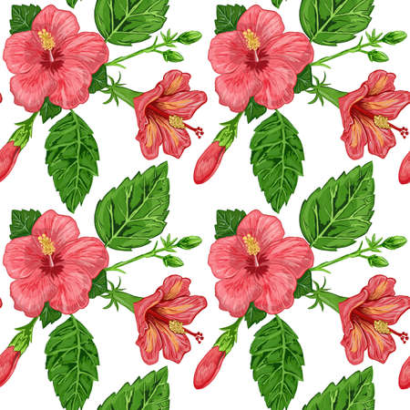 illustration of a seamless pattern of hibiscus plants flowers and leaves of a plant on a backgroundの写真素材