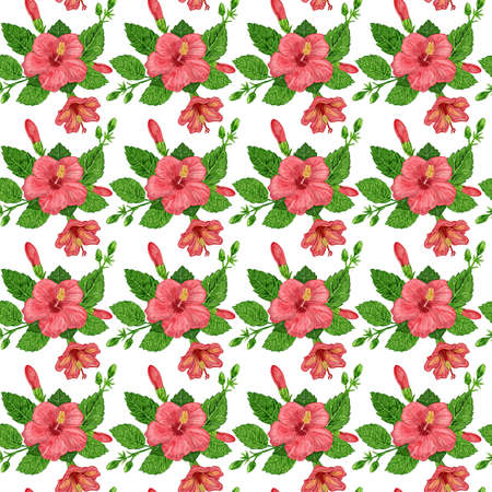 illustration of a seamless pattern of hibiscus plants flowers and leaves of a plant on a backgroundの写真素材