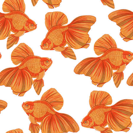 Digital illustration of orange detailed aquarium goldfish seamless pattern on white isolated background. High quality illustrationの写真素材