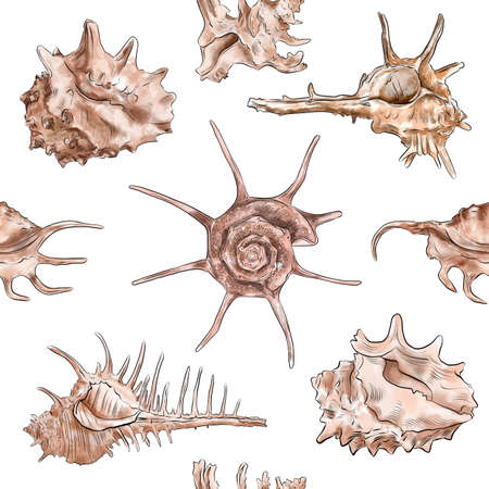 Watercolor digital illustration seamless pattern of seashells from brown marine life on background. High quality illustrationの写真素材