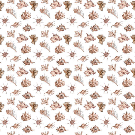 Watercolor digital illustration seamless pattern of seashells from brown marine life on background. High quality illustrationの写真素材