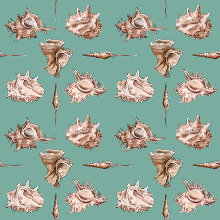 Watercolor digital illustration seamless pattern of seashells from brown marine life on background. High quality illustrationの写真素材