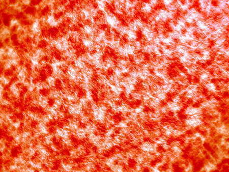Red-orange spots on white backgroundの写真素材