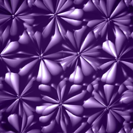 Purple daisiesの写真素材