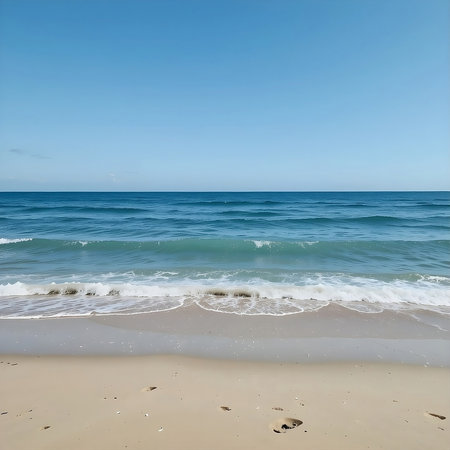 beach and tropical sea with blue sky background. soft focus.の素材