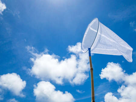 Insect trapping net in the clear blue skyの写真素材