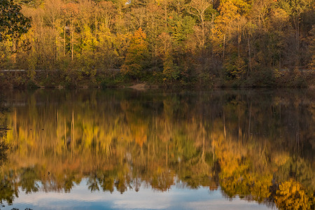 Golden fall foliage reflected in a lakeの写真素材