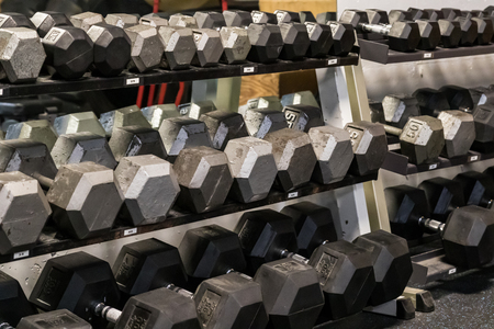 Three rows of dumbbells on a rack in a gym.の写真素材