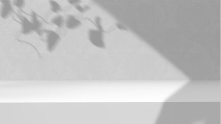 Product background using 3D rendering and geometry. background for products mockup presentation. 3d...