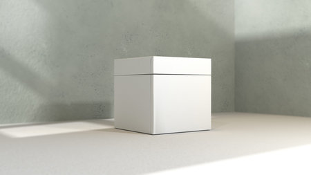 White box mockup on concrete wall background. 3D rendering illustration