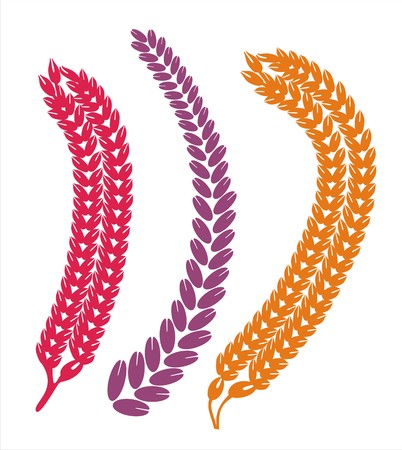 Paddy Flowers Comboのイラスト素材