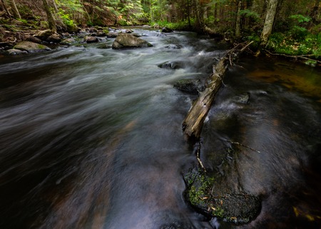 Rushing Stream in Woods Old Log and Mossy Boulderの写真素材