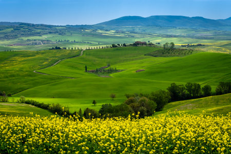 Green Rolling hills Spring In Tuscany Italy