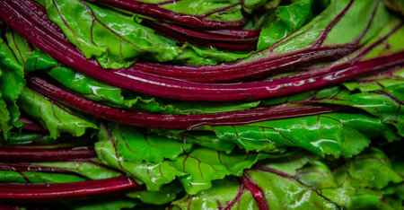 Beet greens vegitable, bright green on purple
