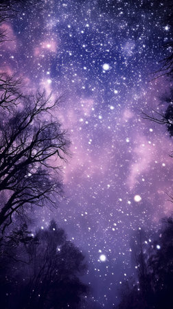 Night sky with stars and silhouettes of trees. Space background.の素材