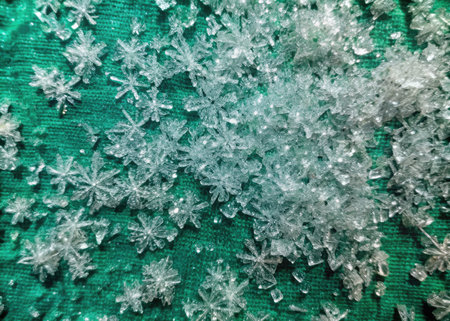 Close up of snowflakes on green background. Snowflakes backgroundの素材